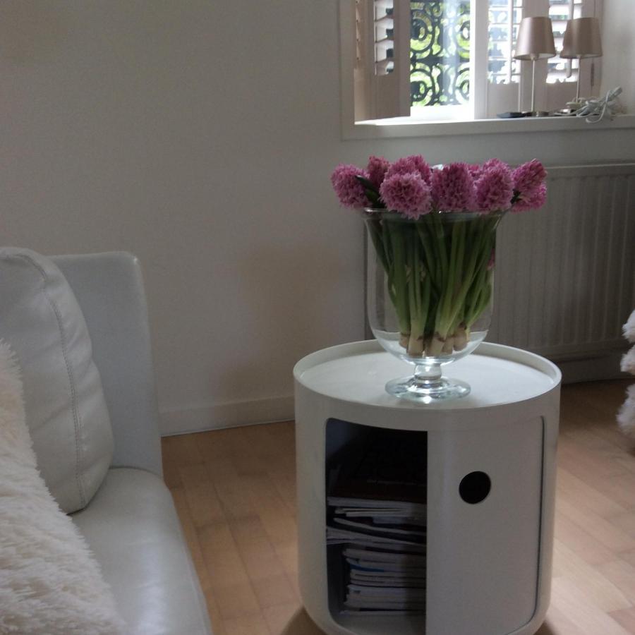 B&B De Tol Hulst Bagian luar foto