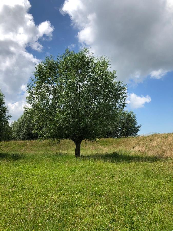 B&B De Tol Hulst Bagian luar foto