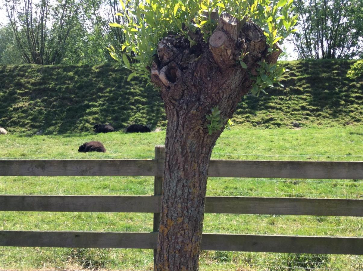 B&B De Tol Hulst Bagian luar foto