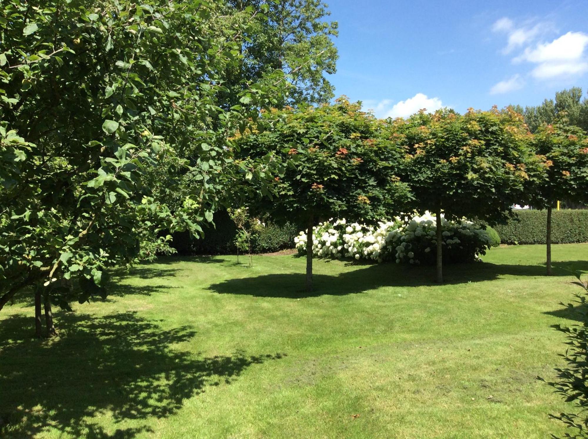 B&B De Tol Hulst Bagian luar foto