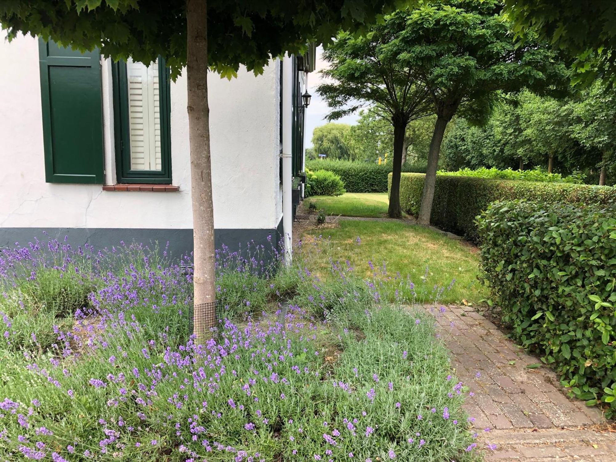 B&B De Tol Hulst Bagian luar foto