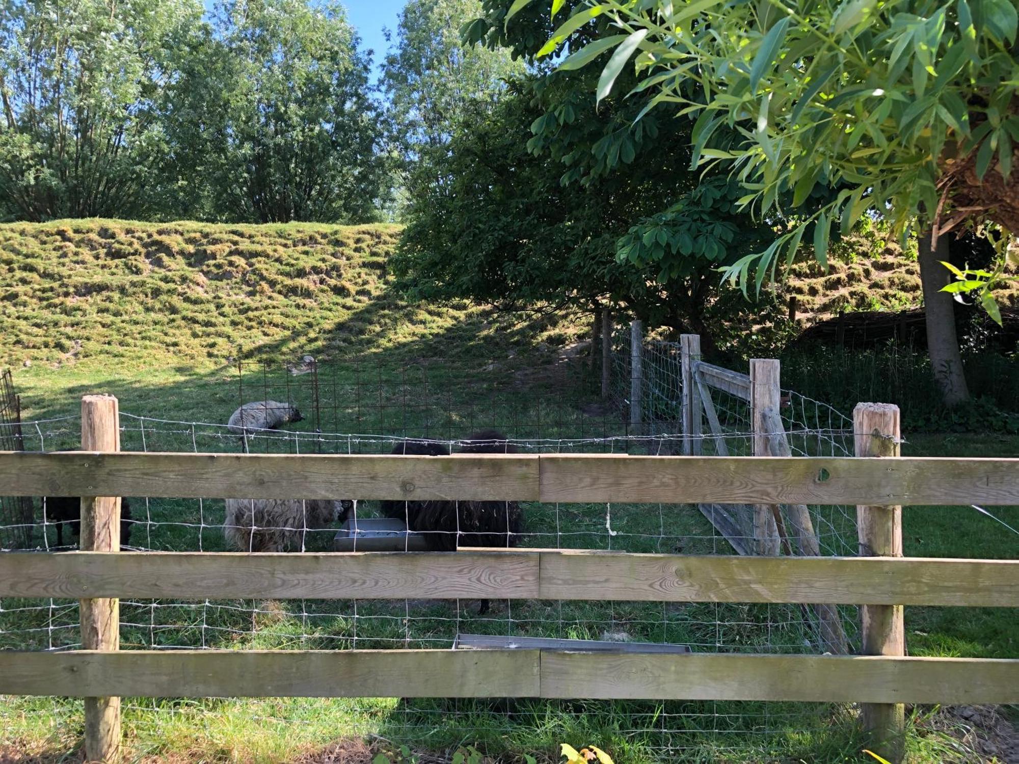 B&B De Tol Hulst Bagian luar foto